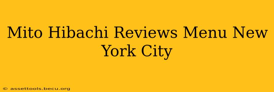 Mito Hibachi Reviews Menu New York City