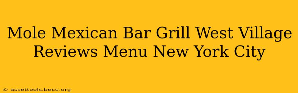 Mole Mexican Bar Grill West Village Reviews Menu New York City