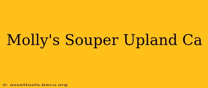Molly's Souper Upland Ca