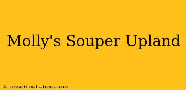 Molly's Souper Upland