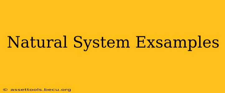 Natural System Exsamples