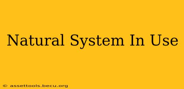 Natural System In Use
