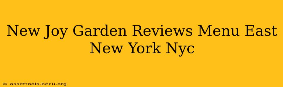 New Joy Garden Reviews Menu East New York Nyc