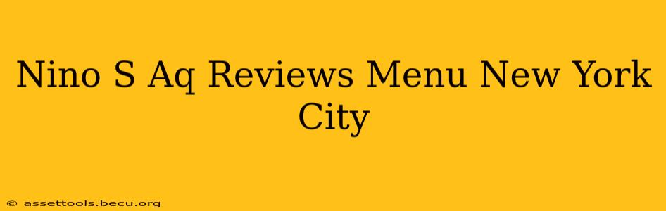 Nino S Aq Reviews Menu New York City