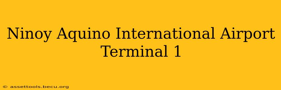Ninoy Aquino International Airport Terminal 1