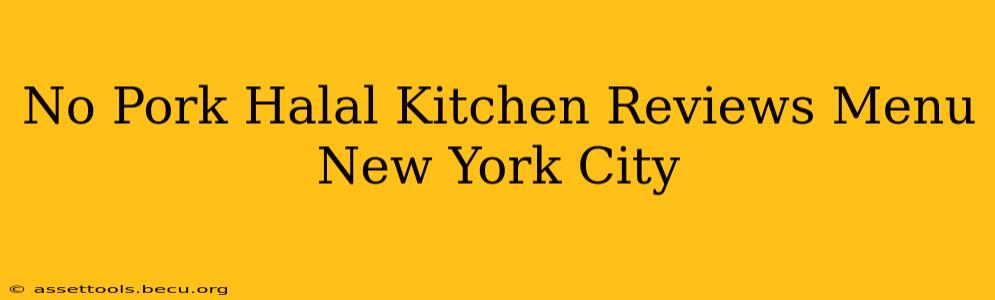 No Pork Halal Kitchen Reviews Menu New York City