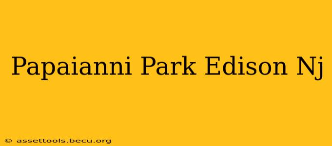 Papaianni Park Edison Nj
