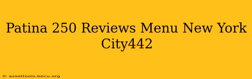 Patina 250 Reviews Menu New York City442