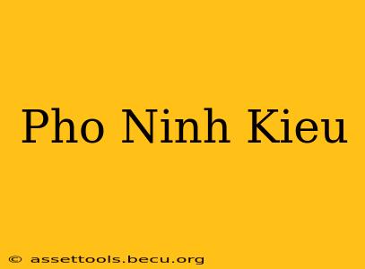 Pho Ninh Kieu