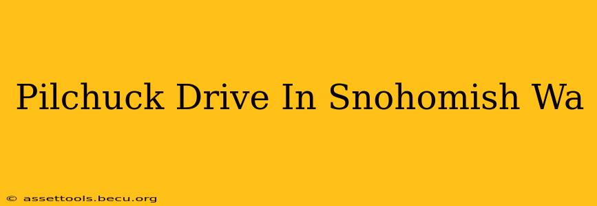Pilchuck Drive In Snohomish Wa
