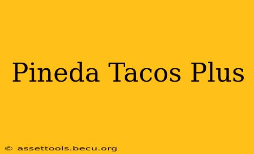 Pineda Tacos Plus