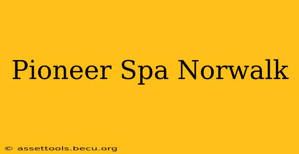 Pioneer Spa Norwalk