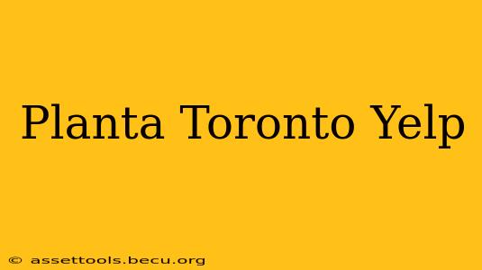 Planta Toronto Yelp