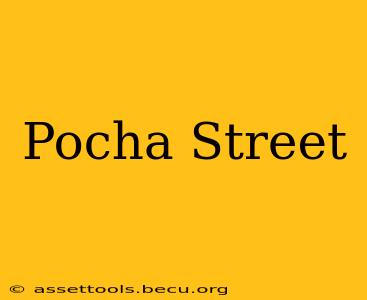 Pocha Street