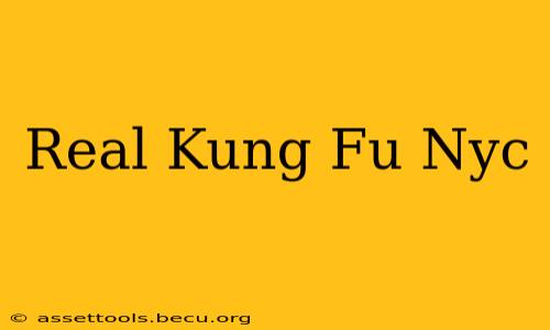 Real Kung Fu Nyc