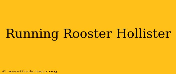 Running Rooster Hollister