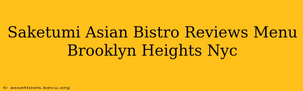 Saketumi Asian Bistro Reviews Menu Brooklyn Heights Nyc