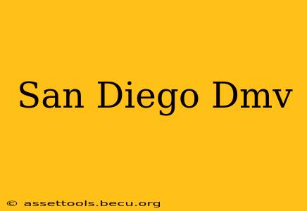 San Diego Dmv
