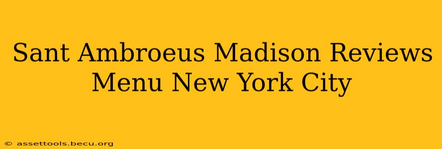 Sant Ambroeus Madison Reviews Menu New York City