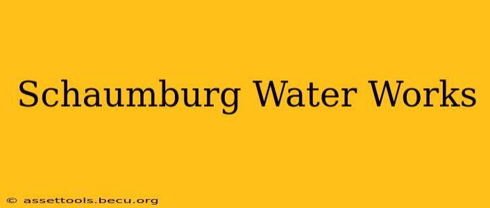 Schaumburg Water Works