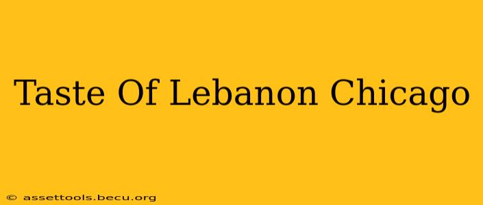 Taste Of Lebanon Chicago