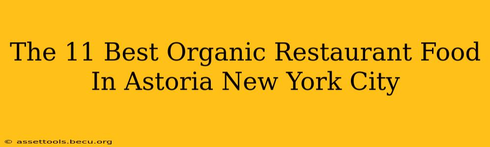 The 11 Best Organic Restaurant Food In Astoria New York City
