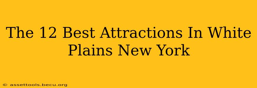 The 12 Best Attractions In White Plains New York