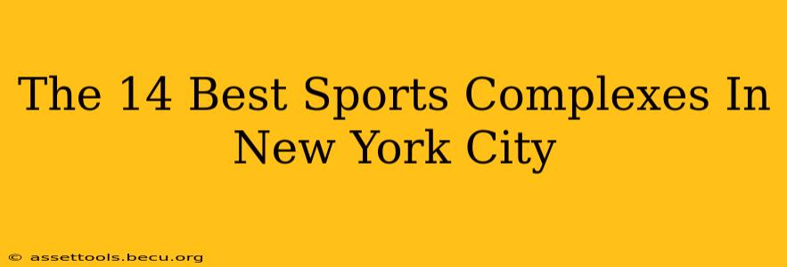 The 14 Best Sports Complexes In New York City