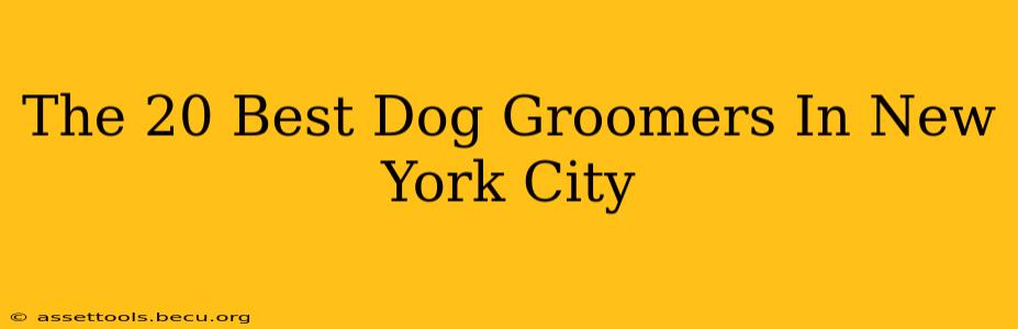 The 20 Best Dog Groomers In New York City