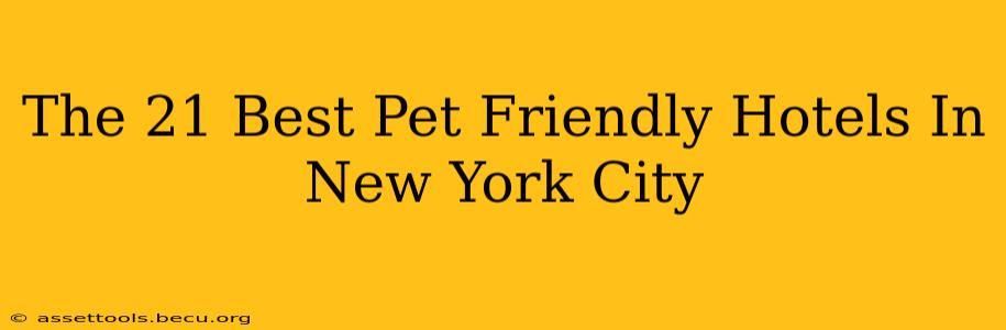 The 21 Best Pet Friendly Hotels In New York City