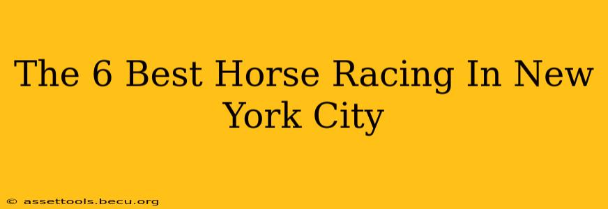 The 6 Best Horse Racing In New York City