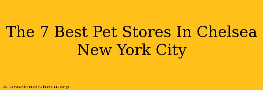 The 7 Best Pet Stores In Chelsea New York City