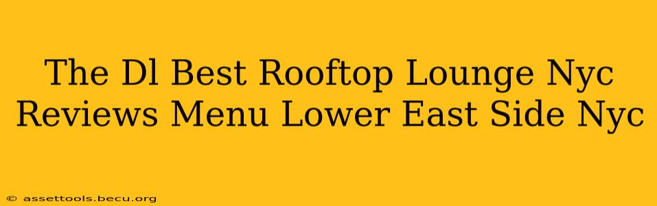 The Dl Best Rooftop Lounge Nyc Reviews Menu Lower East Side Nyc