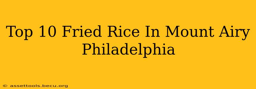 Top 10 Fried Rice In Mount Airy Philadelphia