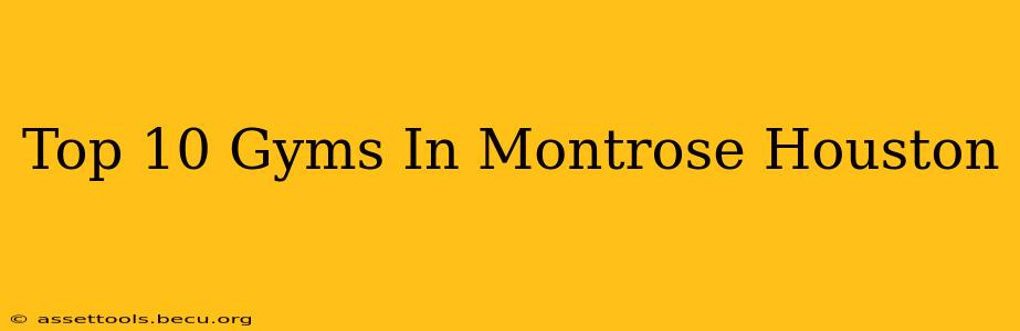 Top 10 Gyms In Montrose Houston