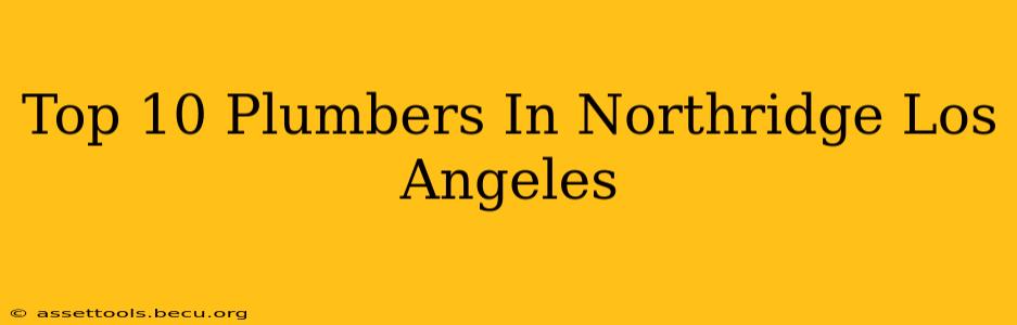 Top 10 Plumbers In Northridge Los Angeles