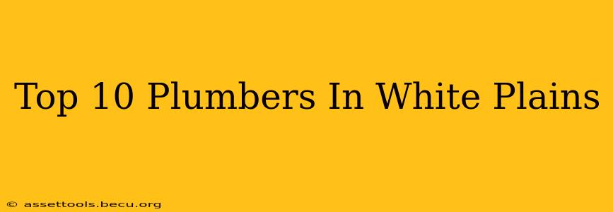 Top 10 Plumbers In White Plains
