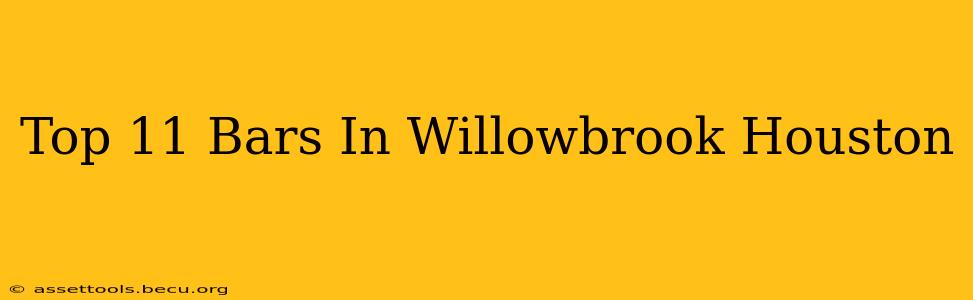 Top 11 Bars In Willowbrook Houston