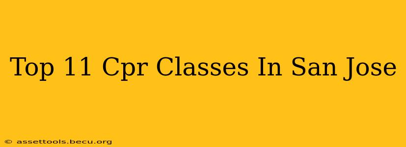 Top 11 Cpr Classes In San Jose