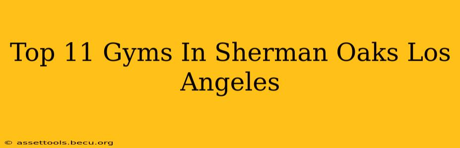 Top 11 Gyms In Sherman Oaks Los Angeles