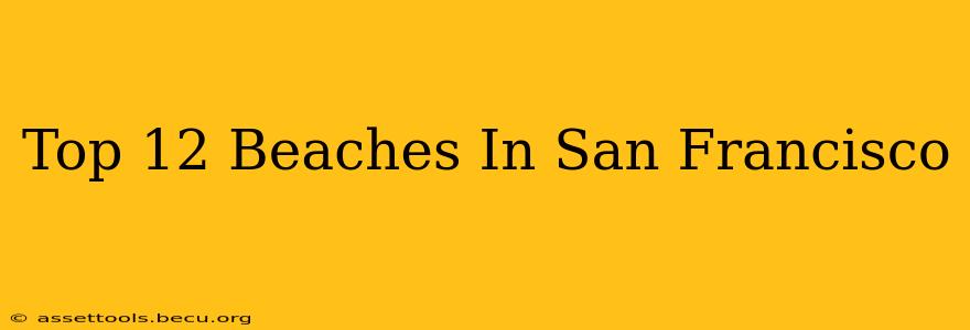 Top 12 Beaches In San Francisco