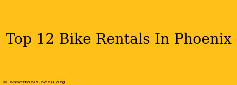 Top 12 Bike Rentals In Phoenix