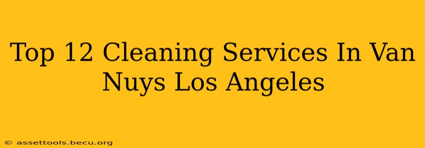 Top 12 Cleaning Services In Van Nuys Los Angeles