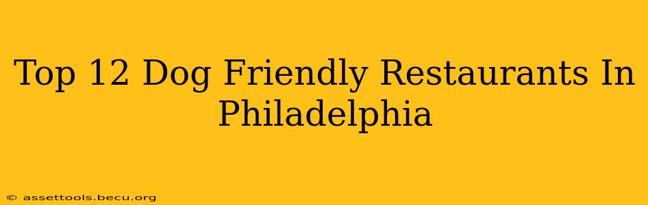 Top 12 Dog Friendly Restaurants In Philadelphia