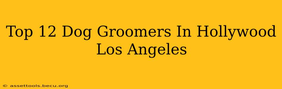 Top 12 Dog Groomers In Hollywood Los Angeles