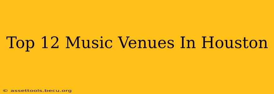 Top 12 Music Venues In Houston