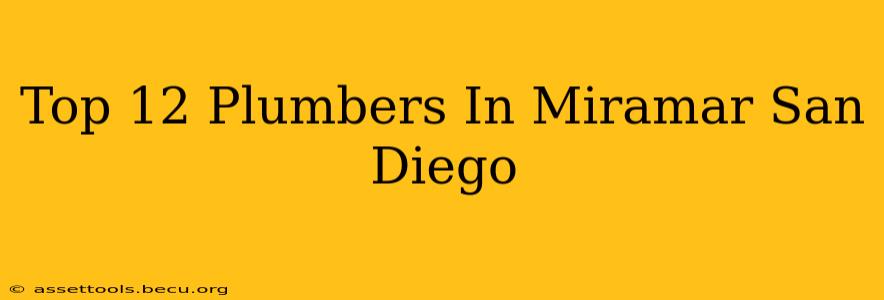Top 12 Plumbers In Miramar San Diego