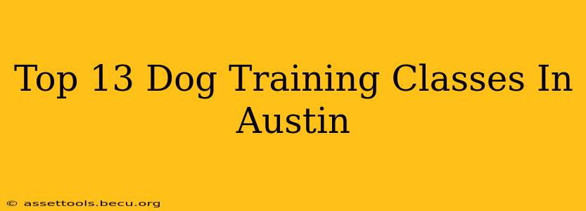 Top 13 Dog Training Classes In Austin