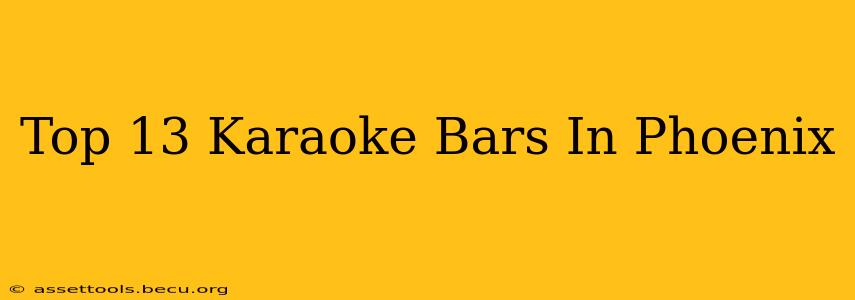 Top 13 Karaoke Bars In Phoenix