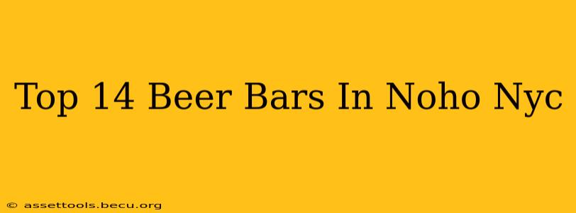 Top 14 Beer Bars In Noho Nyc